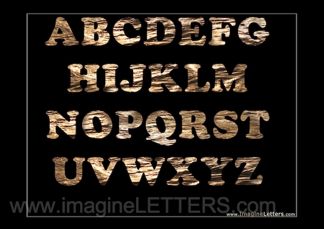 Wall_Art_Alphabet_Photography_Art_ 151.jpg
